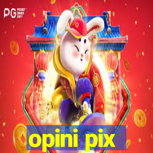 opini pix
